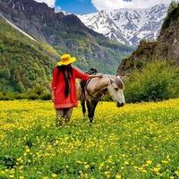 دانلود صدای زنگ موبایل بختیاری بی بی مریم بی‌کلام