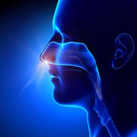 دانلود صدای تنفس از بینی