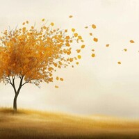 دانلود افکت صدای باد پاییزی 
