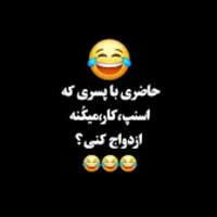 دانلود صدای طنز حاضری با پسری که اسنپ کار میکنه ازدواج کنی نه