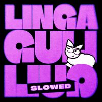 دانلود صدای میم linga guli guli