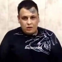 دانلود صدای عقاب که هیچ من پشه هم نیستم 