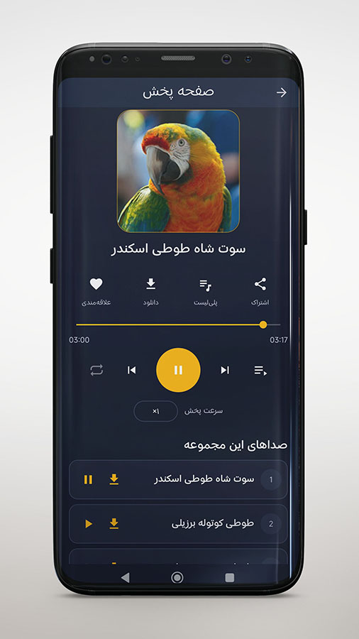 دانلود برنامه اندروید صدا تو صدا دانلود برنامه اندروید صدا تو صدا