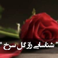 دانلود صدای دکلمه کار ما نیست شناسایی راز گل سرخ