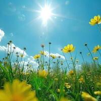 دانلود افکت صدای روز آفتابی